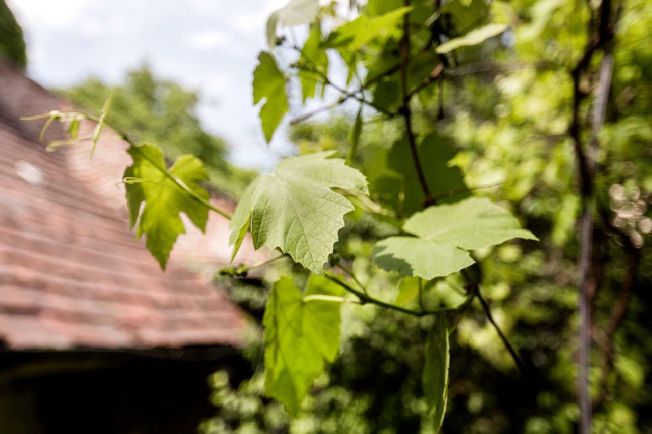 Gul Baba Saray Apartments Budapest Bagian luar foto